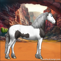 Horse Color:Smoky Black Splash Tobiano 