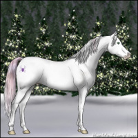 Horse Color:Watercolor Plaid  Gold Champagne Snowdrop Pearl Onyx Sabino Splash Leopard 