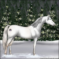 Horse Color:Gray White Spotted Silver Sable Champagne Pearl Dun 
