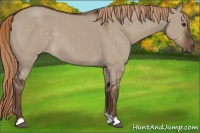 Horse Color:Liver Red Dun 