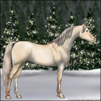 Horse Color:Gray White Spotted Silver Sable Champagne Pearl Dun 