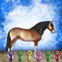 Horse Color:Bay Onyx 
