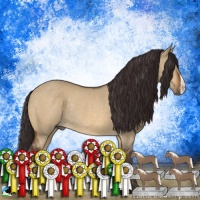 Horse Color:Buckskin Dun Mushroom Rabicano