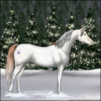Horse Color:White Spotted Sable Champagne Pearl Dun Tobiano Appaloosa 