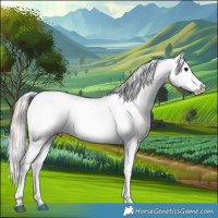 Horse Color:White Spotted Silver Brown Onyx Tobiano Near Leopard 
