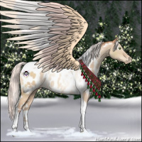 Horse Color:White Spotted Silver Sable Champagne Dun Tobiano Near Leopard 