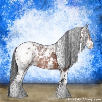 Horse Color:Bay Ice Sabino Varnish Rabicano