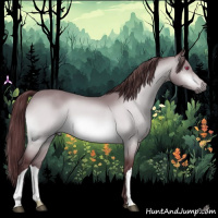 Horse Color:Chocolate Bay Chinchilla 