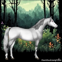 Horse Color:Silver Bay Chinchilla Onyx 