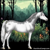 Horse Color:Silver Grullo Chinchilla Splash Frame