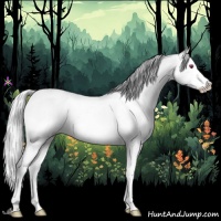 Horse Color:Silver Bay Chinchilla Splash