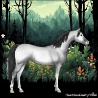 Horse Color:Grullo Chinchilla Onyx 