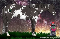 Horse Color:White Spotted Smoky Black
