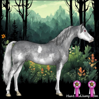 Horse Color:Silver Black Chinchilla Splash
