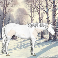Horse Color:Silver Perlino Roan Splash Tobiano 