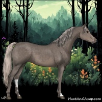 Horse Color:Silver Black 