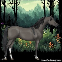 Horse Color:Grullo 