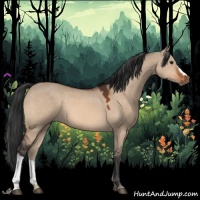 Horse Color:Brown Dun 