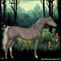 Horse Color:Silver Black 