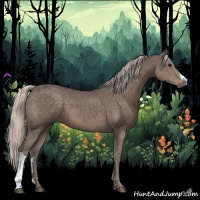 Horse Color:Silver Black 