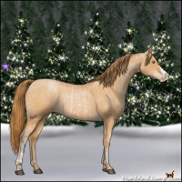 Horse Color:Red Roan Pearl  and Bay Roan Pearl 