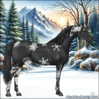 Horse Color:Black Ice 