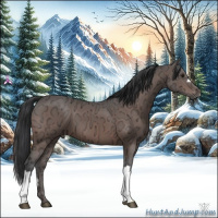 Horse Color:Brown Ice 