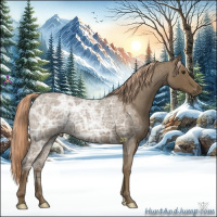 Horse Color:Chocolate Palomino Ice Roan 