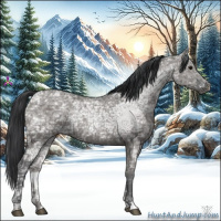 Horse Color:Grullo Ice 