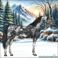 Horse Color:Black Ice