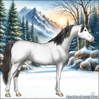 Horse Color:White Spotted Smoky Black Ice