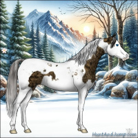 Horse Color:Buckskin Ice Splash Tobiano 