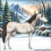 Horse Color:Amber Champagne Ice Sabino 
