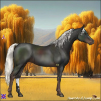 Horse Color:Liver Chestnut Mushroom Rabicano 