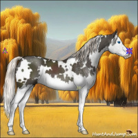 Horse Color:White Spotted Liver Chestnut Mushroom Splash 