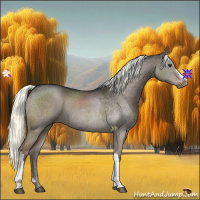 Horse Color:Liver Red Dun Mushroom Rabicano 