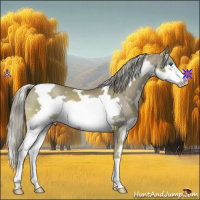 Horse Color:White Spotted Chocolate Palomino Mushroom Splash Frame Varnish 