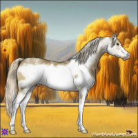 Horse Color:White Spotted Chocolate Palomino Mushroom Splash Frame Rabicano