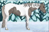 Horse Color:Silver Black Tobiano