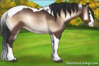 Horse Color:Brown Onyx Splash Tobiano 