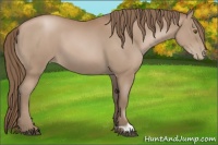 Horse Color:Black Pearl 