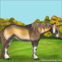 Horse Color:Chocolate Palomino Onyx Sabino 