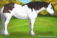 Horse Color:Brown Splash Frame 