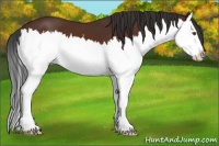 Horse Color:Brown Splash