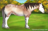 Horse Color:Bay Ice Onyx Splash