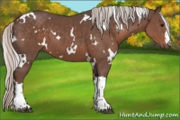 Horse Color:White Spotted Silver Black 