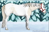 Horse Color:White Spotted Smoky Creme Dun Splash Tobiano