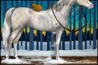 Horse Color:White Spotted Liver Red Dun Ice Pearl Sabino Rabicano 