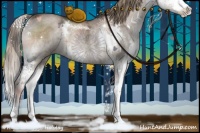 Horse Color:Liver Red Dun Ice Sabino Splash Rabicano
