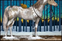 Horse Color:White Spotted Liver Red Dun Rabicano 